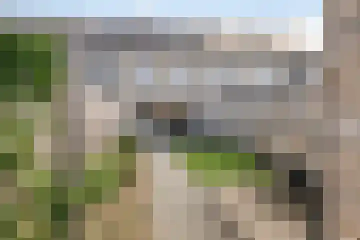 Snuitlibel 5 Son en Breugel thumbnail 4