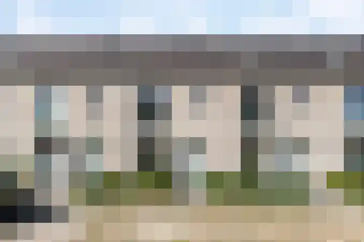 Snuitlibel 5 Son en Breugel thumbnail 40