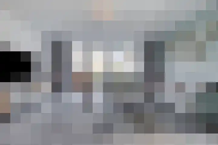 Snuitlibel 5 Son en Breugel thumbnail 5