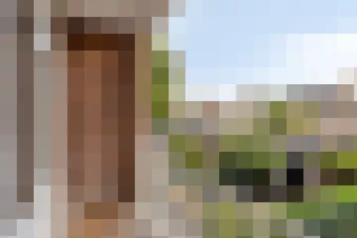 Snuiverstraat 69 Krommenie thumbnail 14