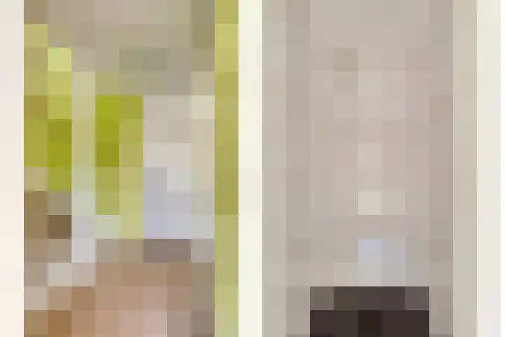 Snuiverstraat 69 Krommenie thumbnail 21