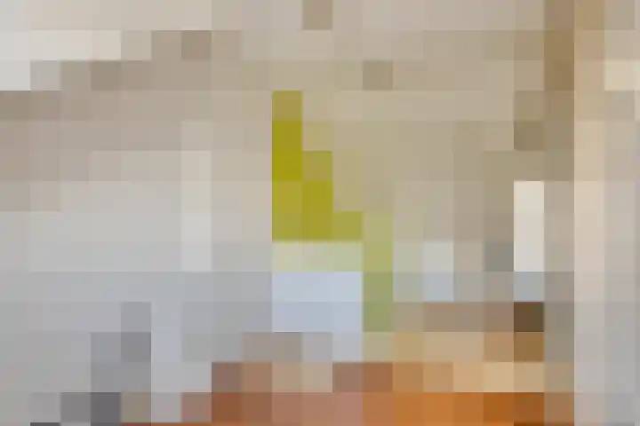 Snuiverstraat 69 Krommenie thumbnail 25
