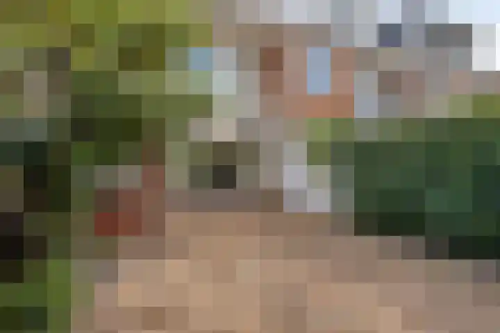 Snuiverstraat 69 Krommenie thumbnail 26