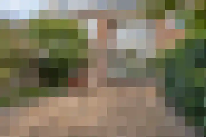Snuiverstraat 69 Krommenie thumbnail 28