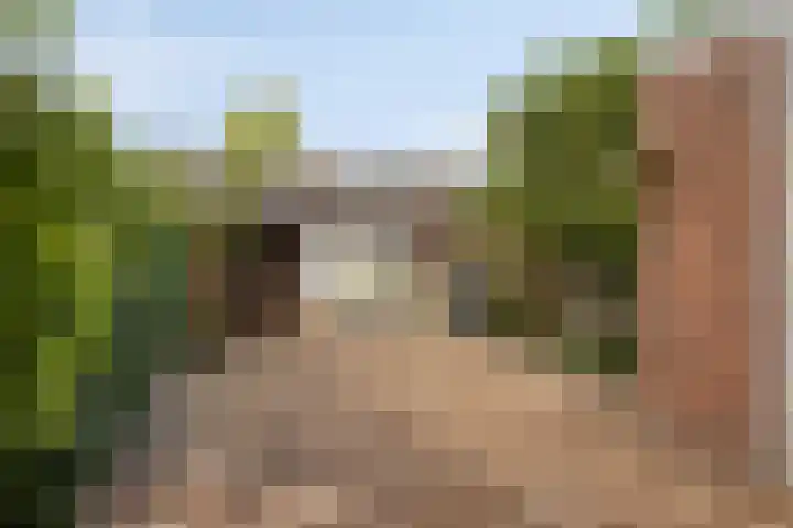 Snuiverstraat 69 Krommenie thumbnail 29