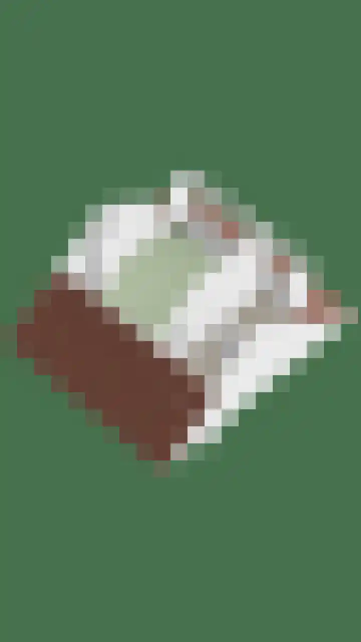 Snuiverstraat 69 Krommenie thumbnail 41