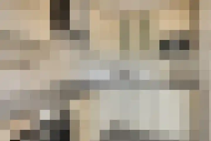 Snuiverstraat 69 Krommenie thumbnail 6