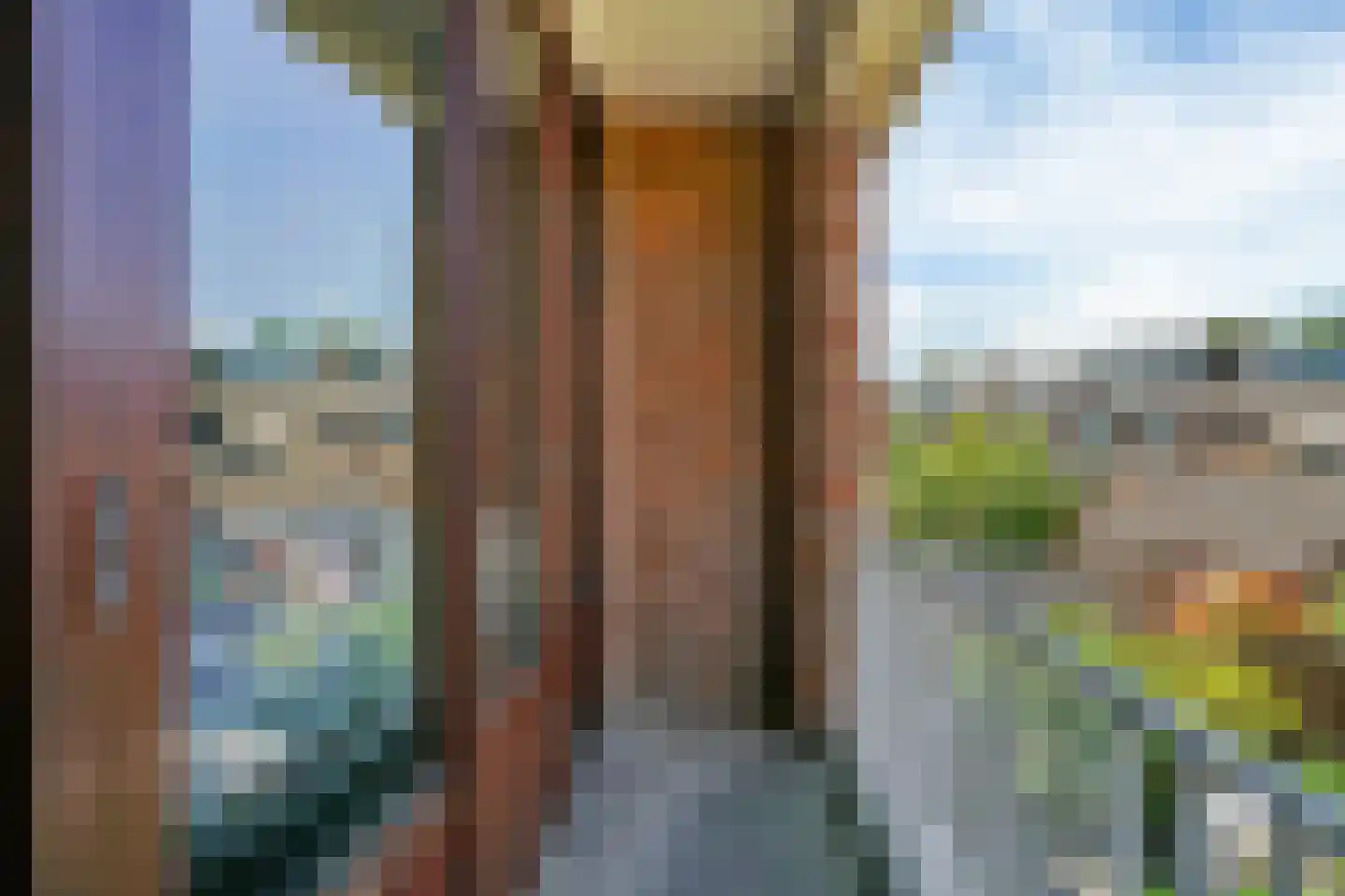 Snuiverstraat 79 Krommenie thumbnail 32