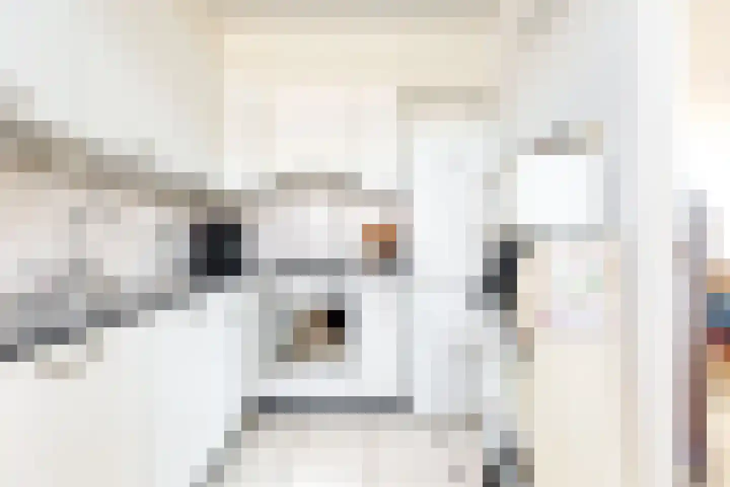 Snuiverstraat 79 Krommenie thumbnail 9