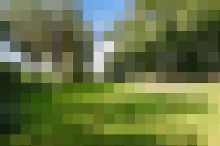 Soarremoarre 1 Nes thumbnail 11