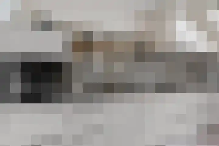 Soarremoarre 1 Nes thumbnail 22