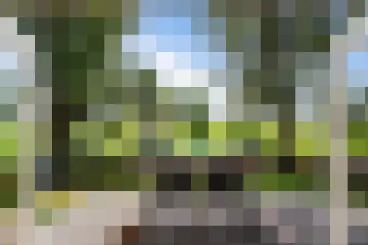 Soarremoarre 1 Nes thumbnail 24