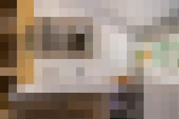 Soarremoarre 1 Nes thumbnail 27
