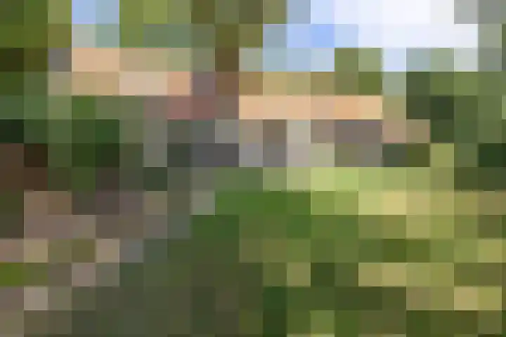 Soarremoarre 1 Nes thumbnail 36