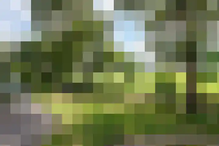 Soarremoarre 1 Nes thumbnail 38