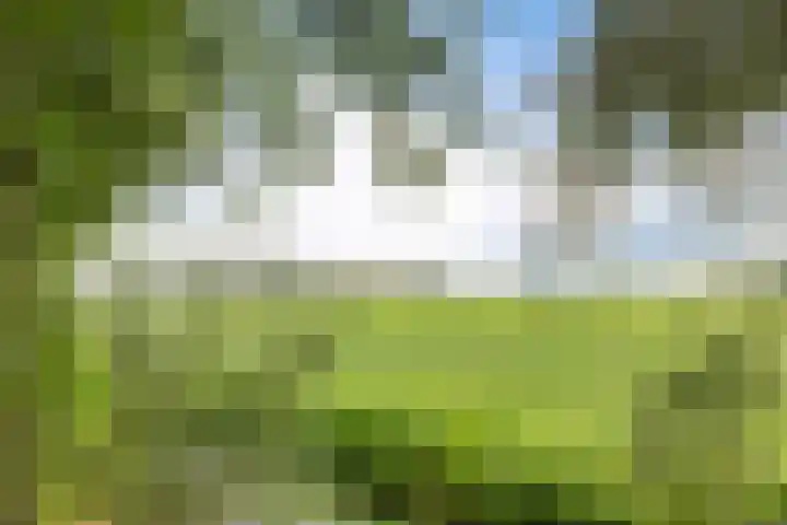 Soarremoarre 1 Nes thumbnail 39