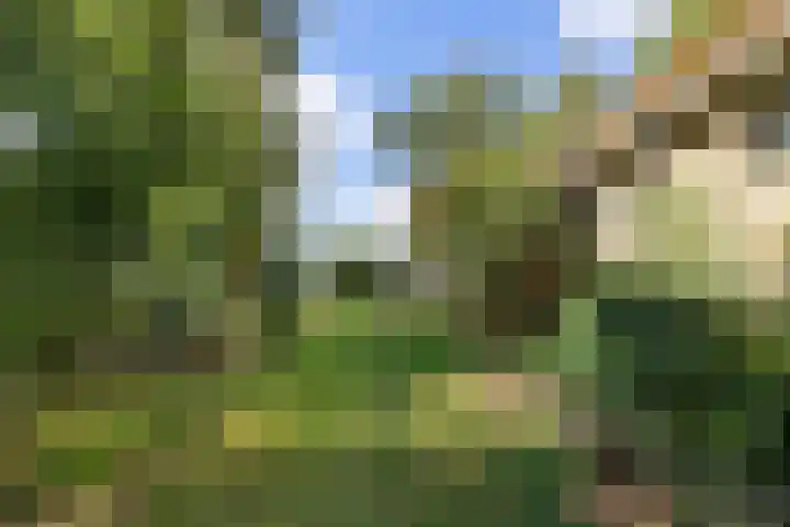 Soarremoarre 1 Nes thumbnail 40