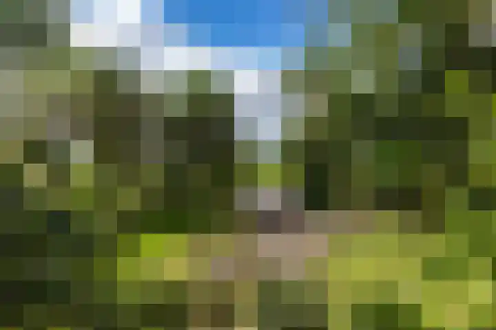 Soarremoarre 1 Nes thumbnail 41