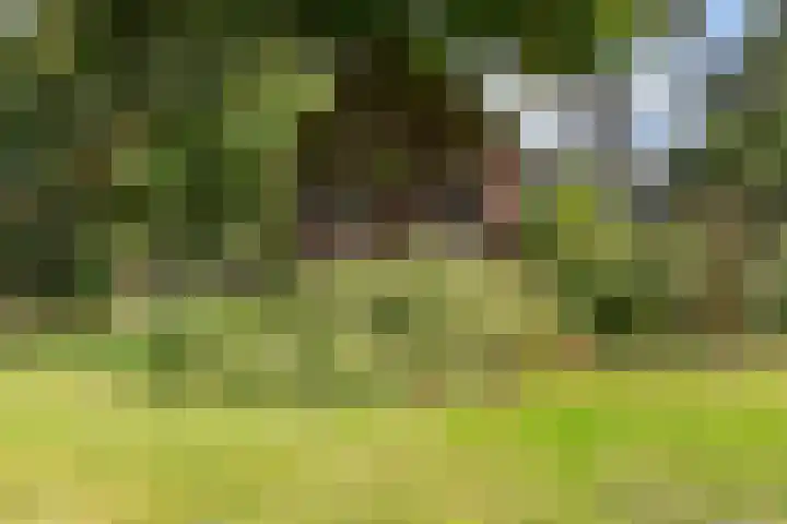 Soarremoarre 1 Nes thumbnail 42