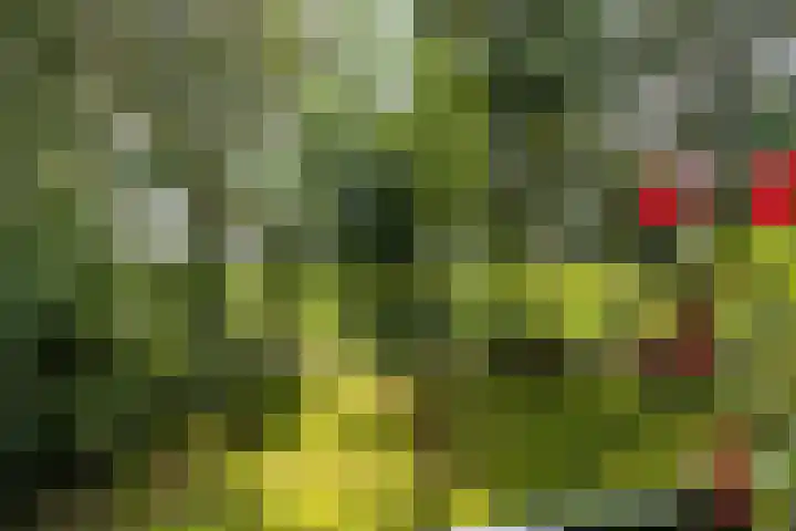Soarremoarre 1 Nes thumbnail 43