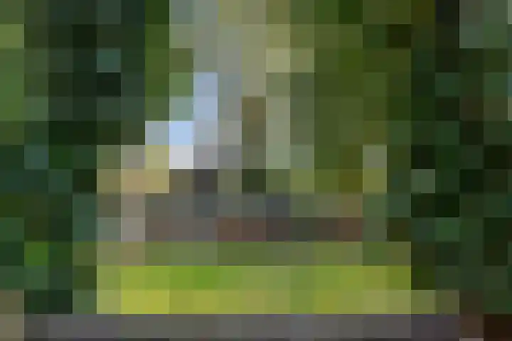 Soarremoarre 1 Nes thumbnail 44