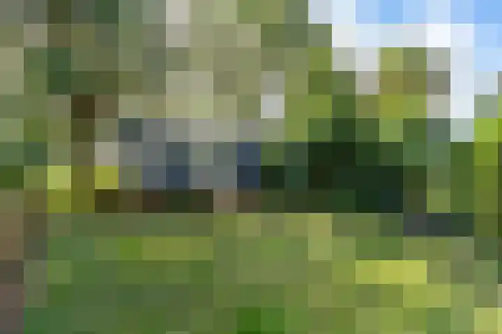 Soarremoarre 1 Nes thumbnail 45