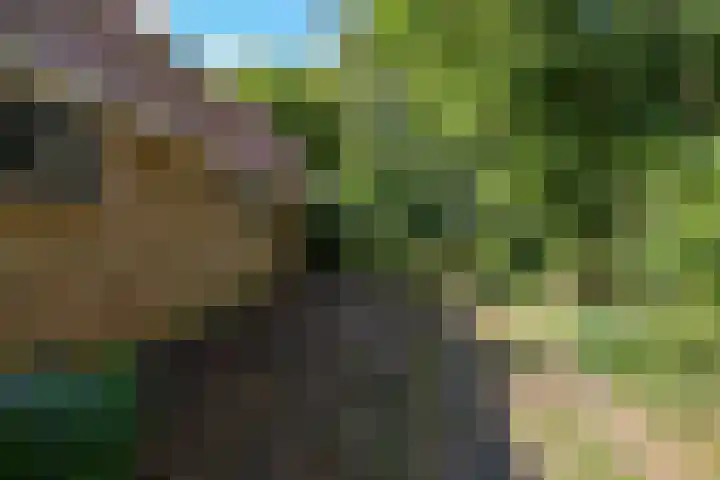 Soarremoarre 1 Nes thumbnail 53