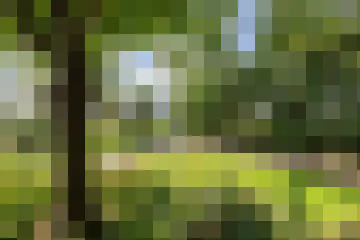 Soarremoarre 1 Nes thumbnail 54
