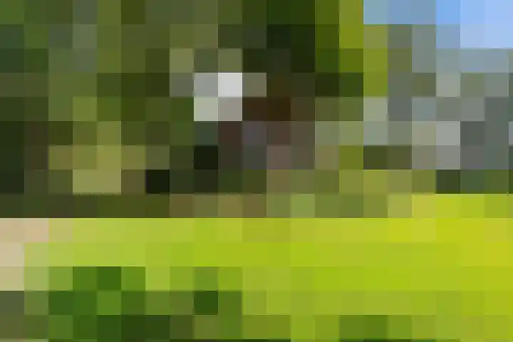 Soarremoarre 1 Nes thumbnail 55