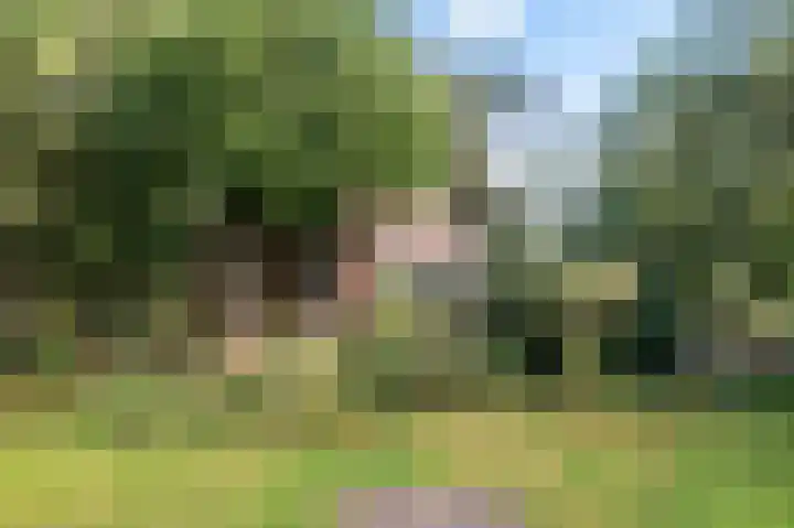 Soarremoarre 1 Nes thumbnail 56