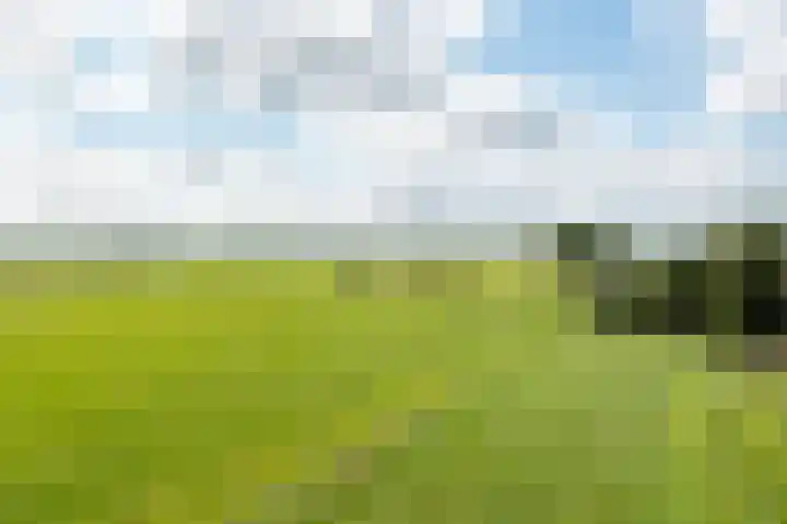 Soarremoarre 1 Nes thumbnail 57