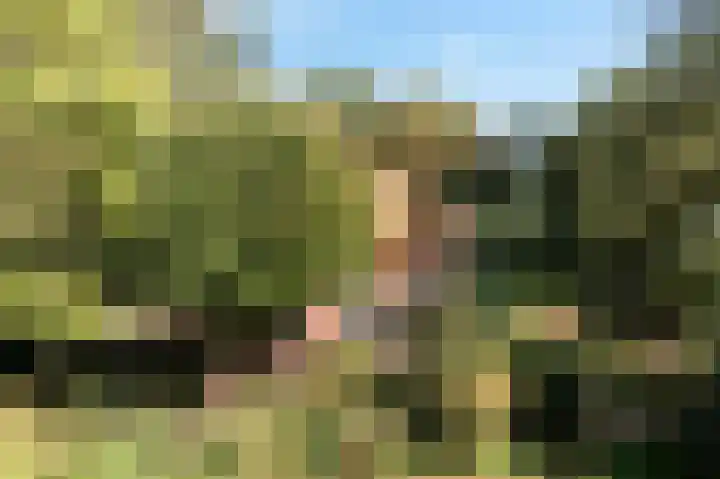 Soarremoarre 1 Nes thumbnail 9