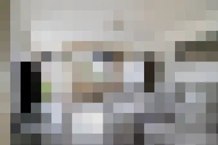 Sobriëtasplein 203 Helmond thumbnail 12