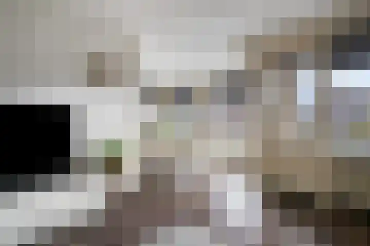 Sobriëtasplein 203 Helmond thumbnail 14