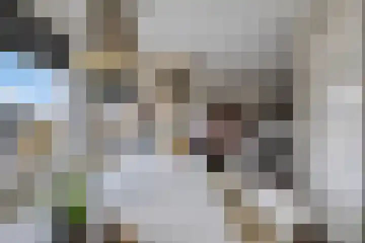 Sobriëtasplein 203 Helmond thumbnail 16