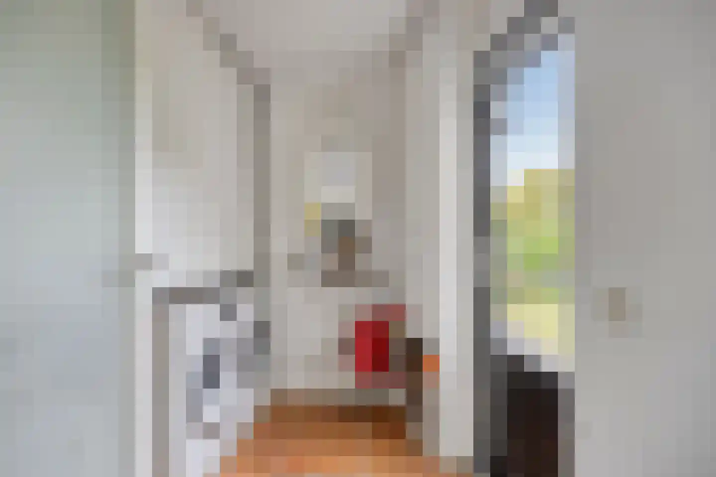 Sobriëtasstraat 6 Vught thumbnail 20