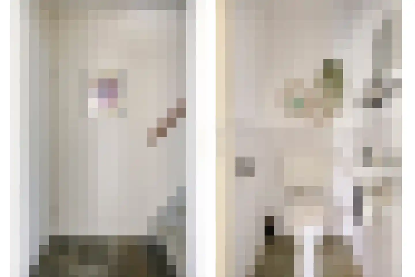 Sobriëtasstraat 6 Vught thumbnail 21