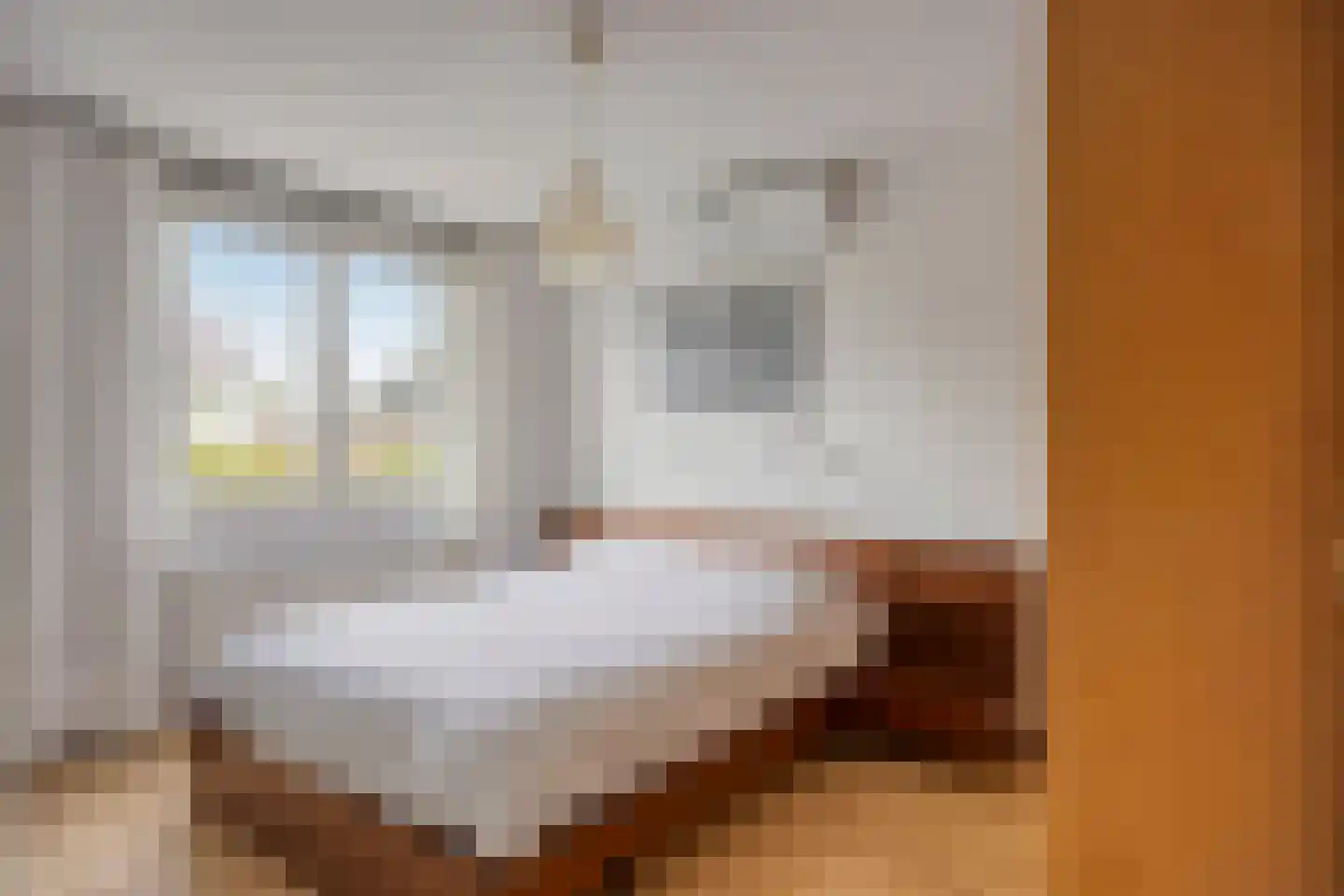 Sobriëtasstraat 6 Vught thumbnail 24