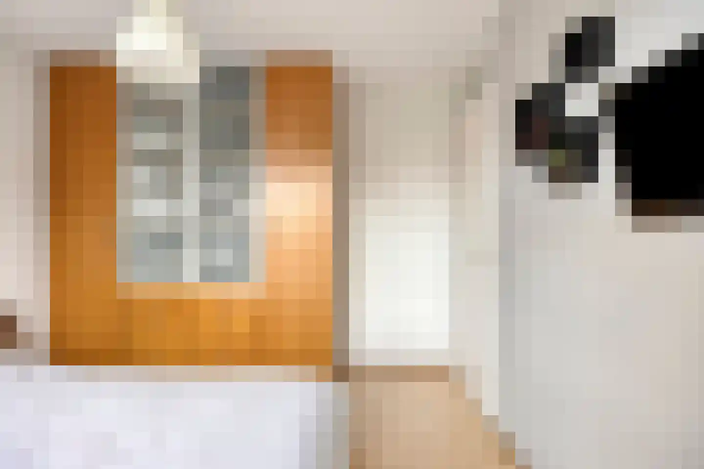 Sobriëtasstraat 6 Vught thumbnail 25