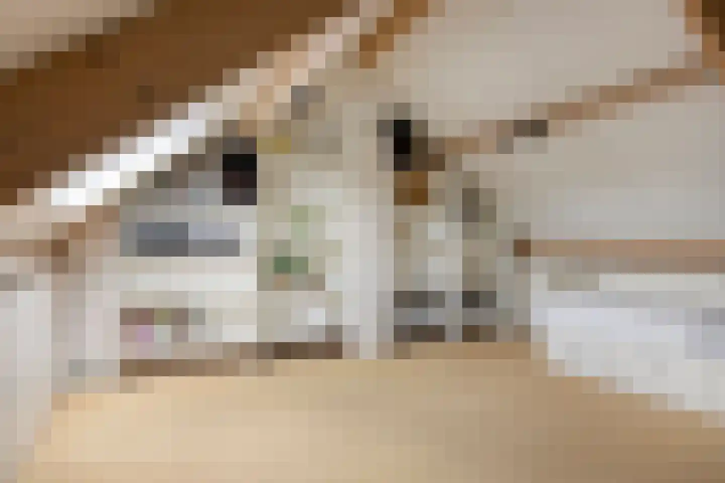 Sobriëtasstraat 6 Vught thumbnail 33