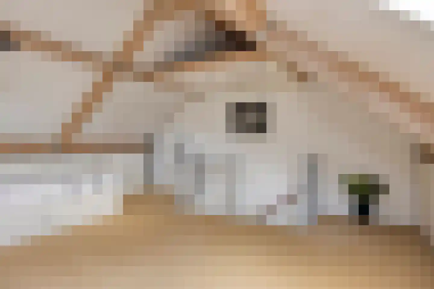 Sobriëtasstraat 6 Vught thumbnail 35