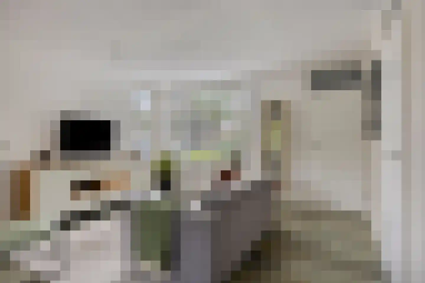 Sobriëtasstraat 6 Vught thumbnail 6