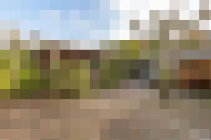 Socrateshof 16 Huizen thumbnail 20
