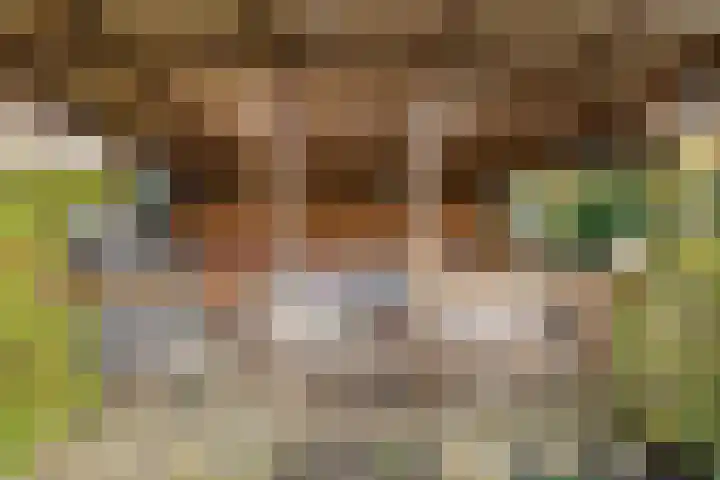 Socrateshof 16 Huizen thumbnail 21