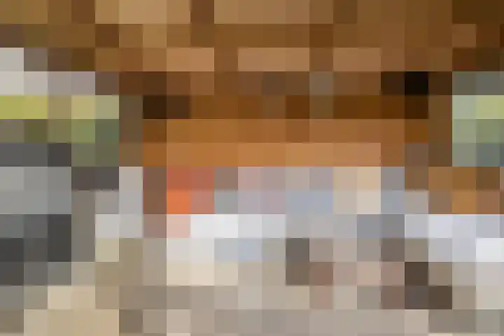 Socrateshof 16 Huizen thumbnail 22