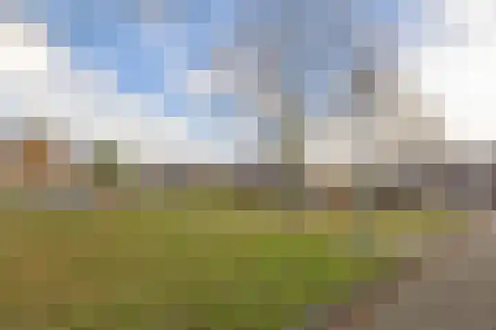 Socrateshof 16 Huizen thumbnail 27