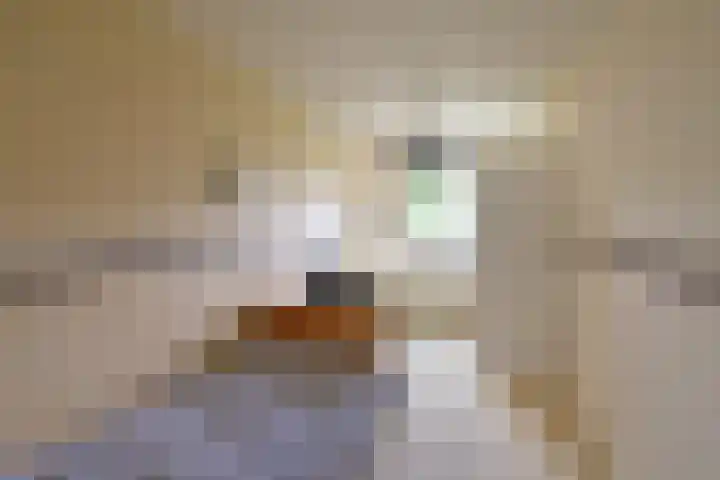 Socrateshof 9 Huizen thumbnail 10