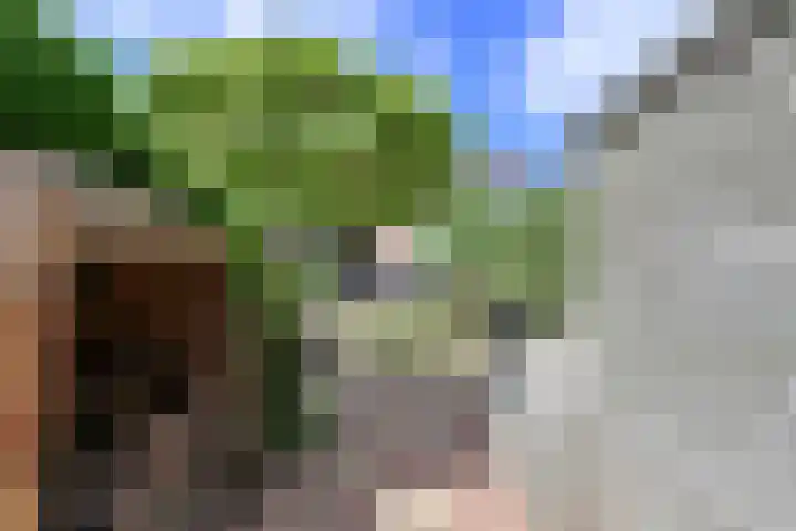 Socrateshof 9 Huizen thumbnail 15