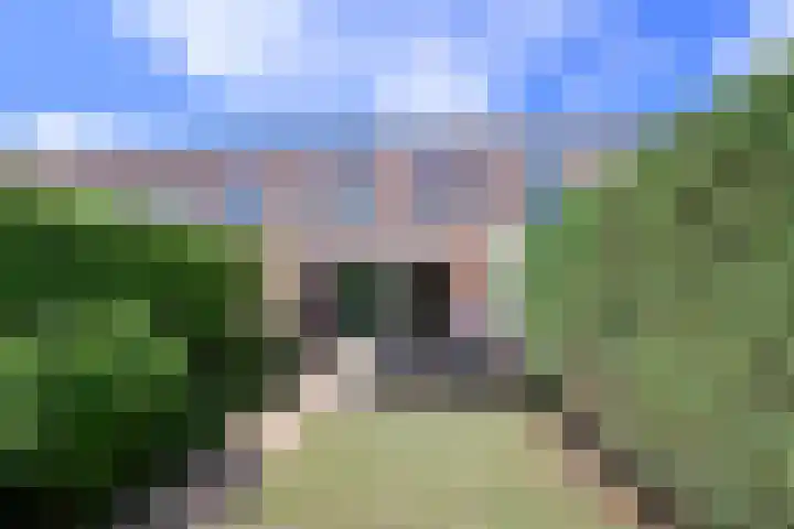 Socrateshof 9 Huizen thumbnail 16