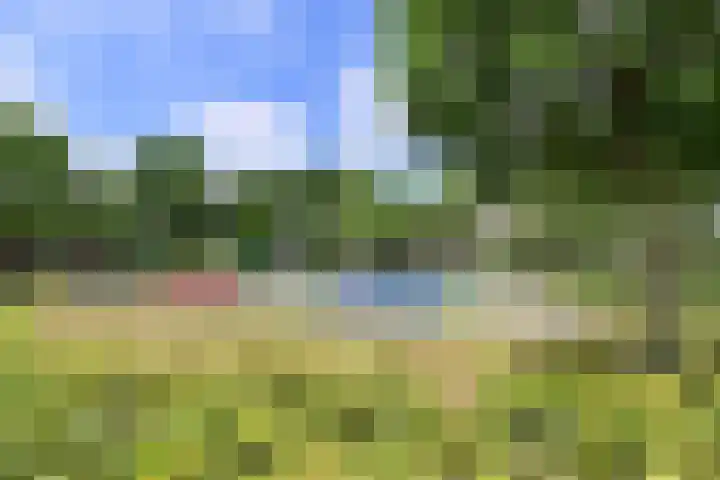 Socrateshof 9 Huizen thumbnail 17